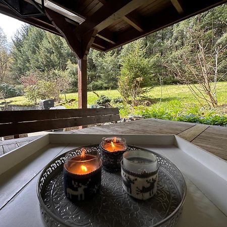 Charming Villa On The Forest In Wald 12 Guests Hugh Garden Willingen Sauerland Brilon Zewnętrze zdjęcie